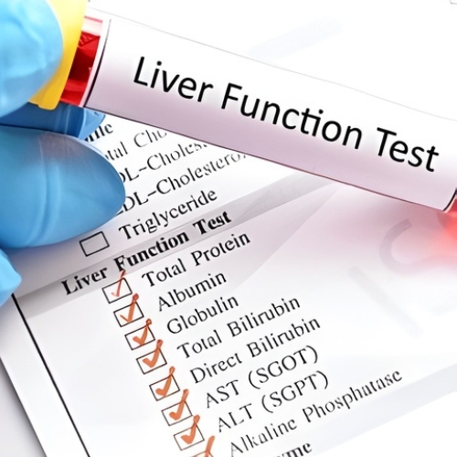 Liver Function Test